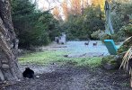 IMG_9032.jpeg