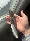 IMG_0415.jpeg