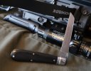 Waynorth Ebony Lambsfoot 2-7.JPG