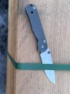 IMG_1295.jpeg