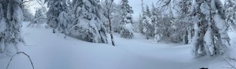 IMG_1456.jpeg