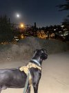 IMG_5934.jpeg