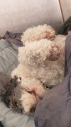 IMG_20250114_091251574~3.jpg