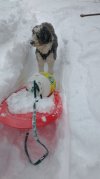 IMG_20250115_133941535~2.jpg