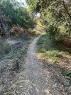 IMG_6115.jpeg