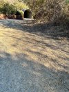 IMG_6162.jpeg