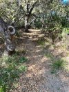 IMG_6121.jpeg
