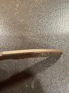 IMG_2956.jpeg
