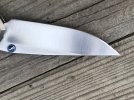 IMG_2803.jpeg