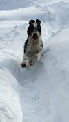 VID_20250117_150014525_exported_2132 (1).jpg