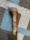 IMG_4173.jpeg