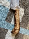 IMG_4172.jpeg