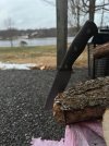 IMG_3597.jpeg