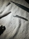 IMG_6191.jpeg