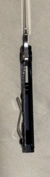 IMG_2336.jpeg