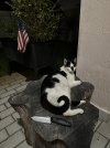 IMG_7341.jpeg
