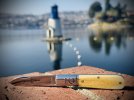 IMG_0520.jpeg