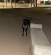 IMG_5979.jpeg