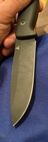 IMG_6008.jpeg