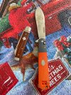 IMG_8950.jpeg