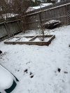 IMG_5634.jpeg