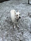 IMG_3525.jpeg
