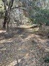 IMG_6248.jpeg