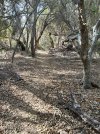 IMG_6261.jpeg