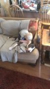 FB_IMG_1454808704033.jpg