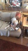 FB_IMG_1454808712631.jpg