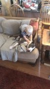 FB_IMG_1454808696225.jpg