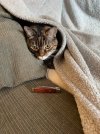 IMG_8743.jpeg