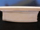 Walrus Tusk cyt slab 2.jpg