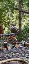IMG_8603.jpeg