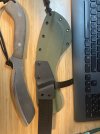 IMG_2318.jpeg