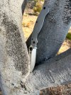 IMG_6406.jpeg