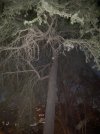 IMG_6048.jpeg