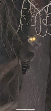 IMG_6051.png