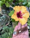 IMG_5346.jpeg