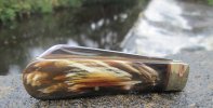 AWSFO 7-5.JPG