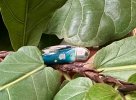 IMG_4796.jpeg