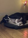 IMG_0089.jpeg