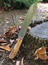 IMG_3170.jpeg