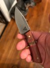 IMG_4964.jpeg
