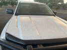 IMG_7125.jpeg