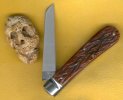 Lamb Skully 2.jpg