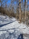 IMG_8987.jpeg