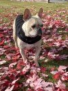 IMG_1079.jpeg