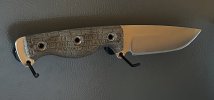 IMG_0398.jpeg