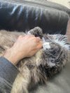 IMG_1171.jpeg
